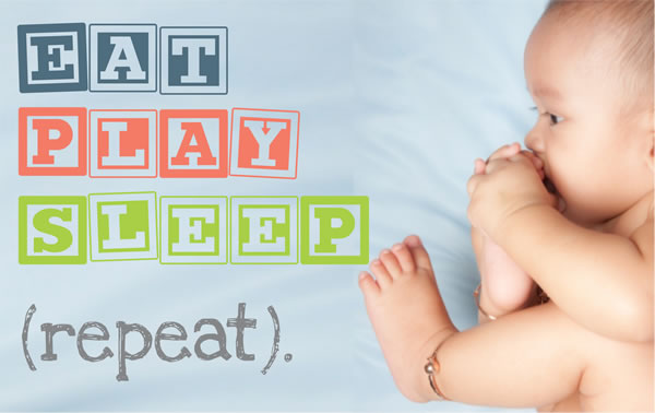 eat_play_sleep.jpg