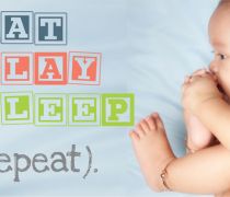 eat_play_sleep.jpg